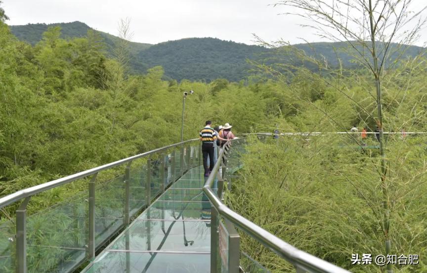 合肥大蜀山最新规划改造,合肥大蜀山改造封闭了吗