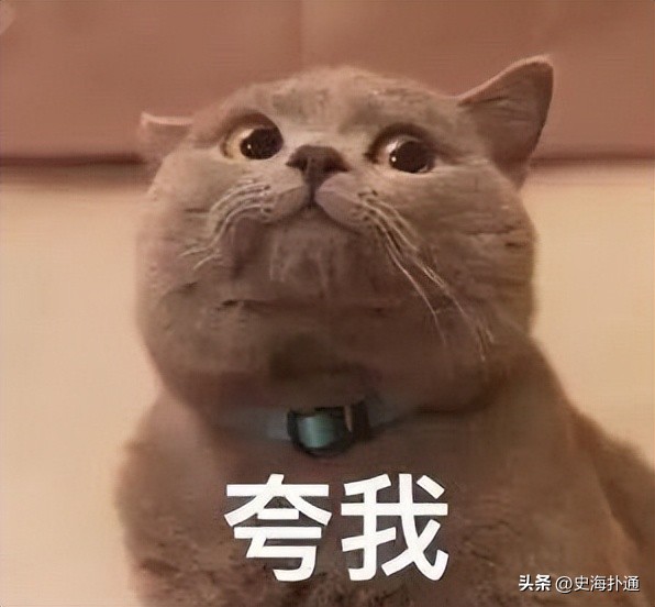 九王夺嫡|胤禛：登基有疑点≠篡位，夺嫡的关键是运气也是实力