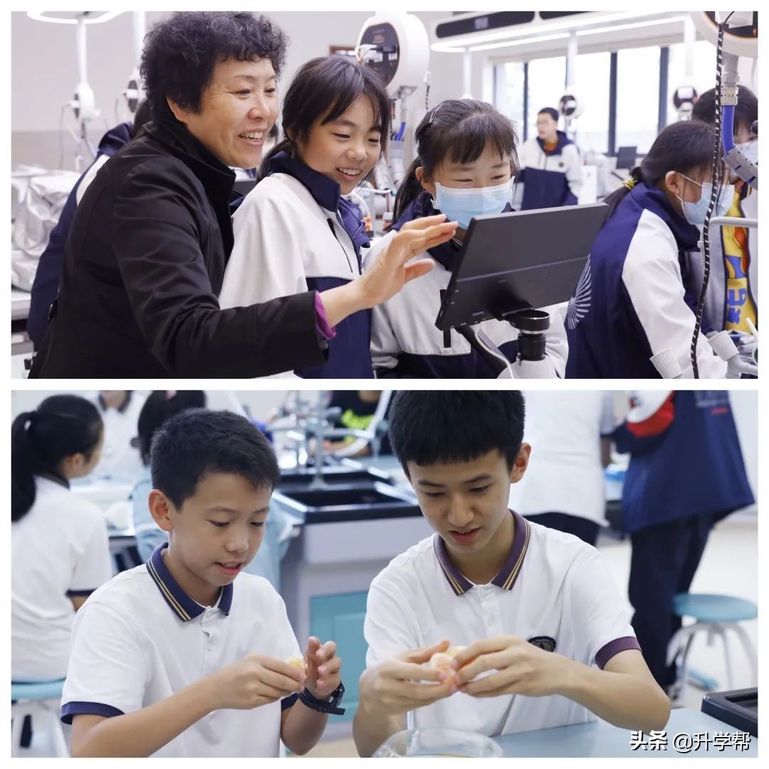 春日清朗好读书｜成都天府中学2021-2022学年度下期博雅选修课程