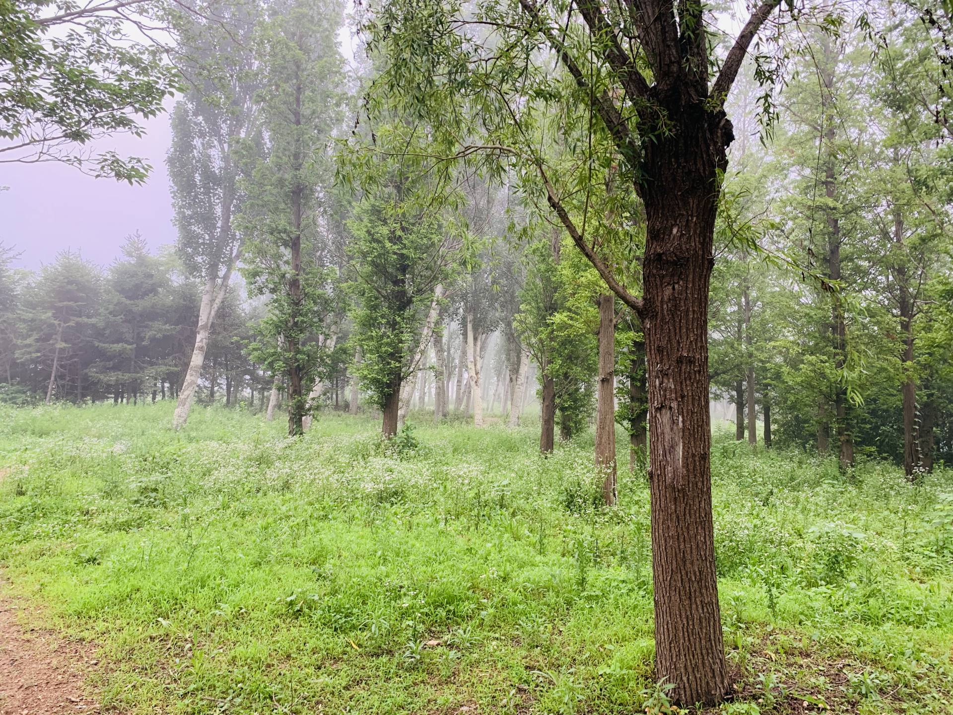 500左右卡西欧g-shock,amazfit运动手表799元