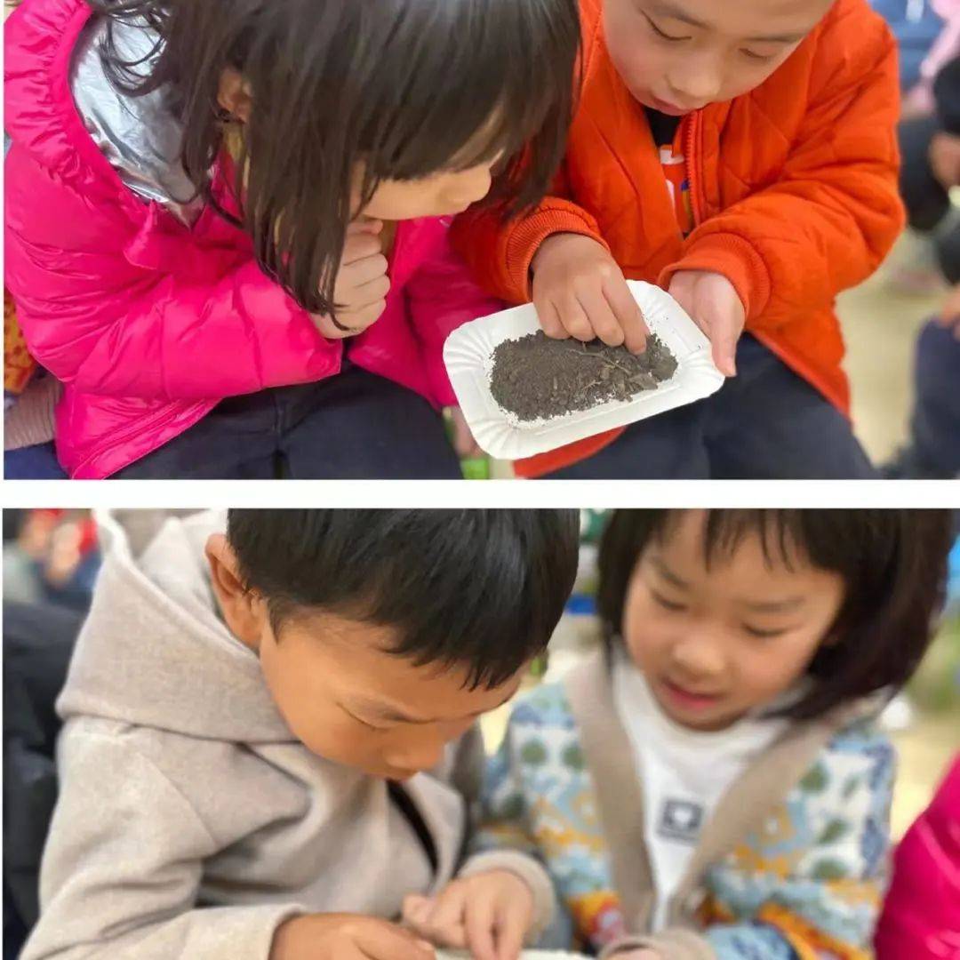 科学探索幼儿园小实验,建德诺亚舟幼儿园