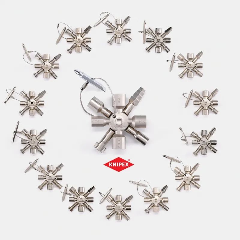 抄袭金鼻子的人,德国抄袭大奖