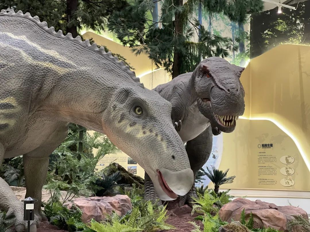 莱芜高庄旅游,莱芜高庄一日游玩攻略