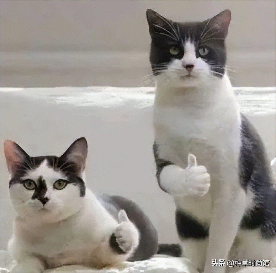 遮瑕推荐真实测评不暗沉不卡粉,遮痘用什么遮瑕原相机测评