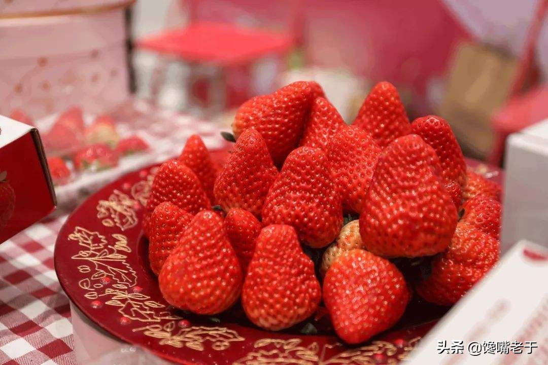 全国最好的草莓品种,全国草莓好吃排行榜