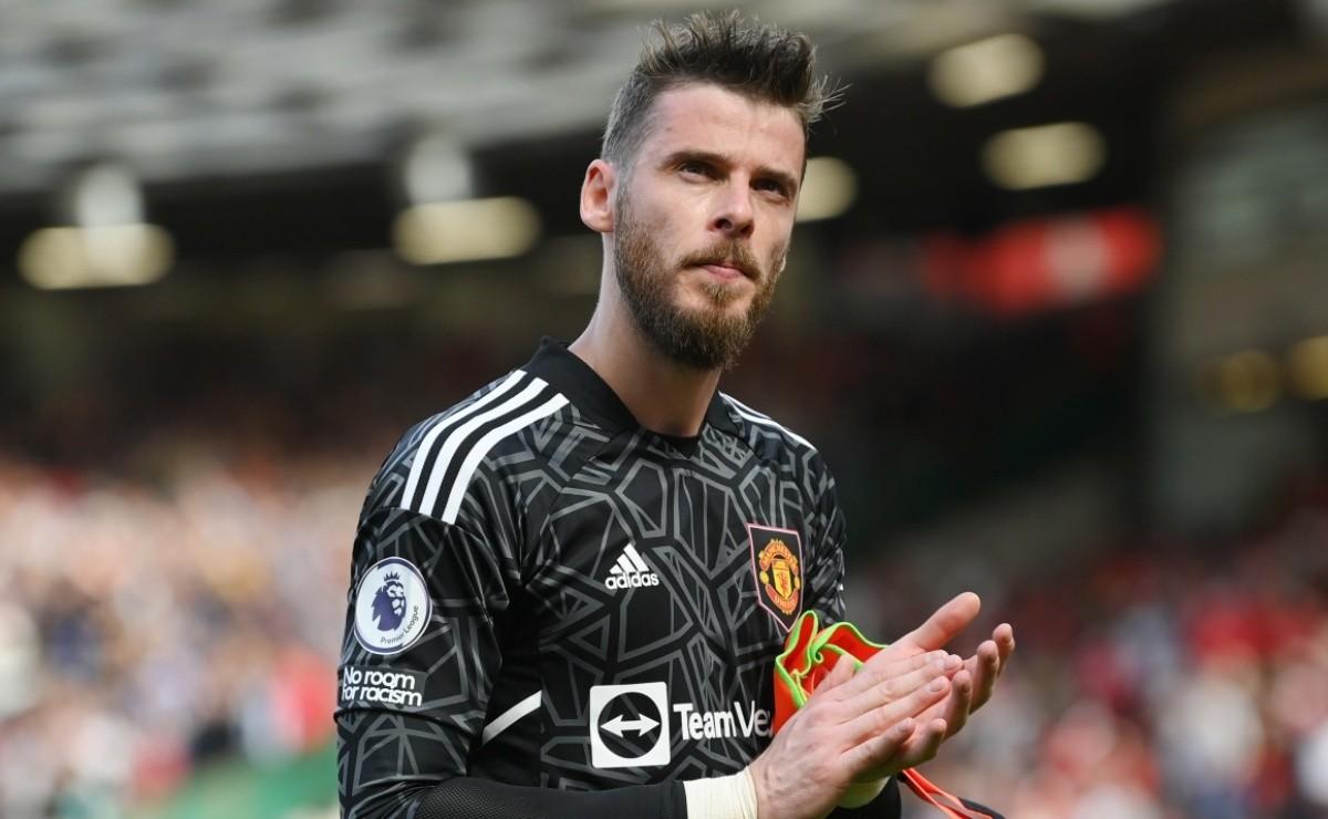 优缺点明显,技术类型已过时!今夏留不留德赫亚,曼联必须想清楚