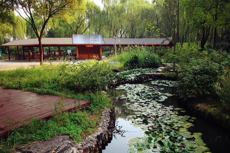 海淀公园相亲小程序,海淀公园相亲角