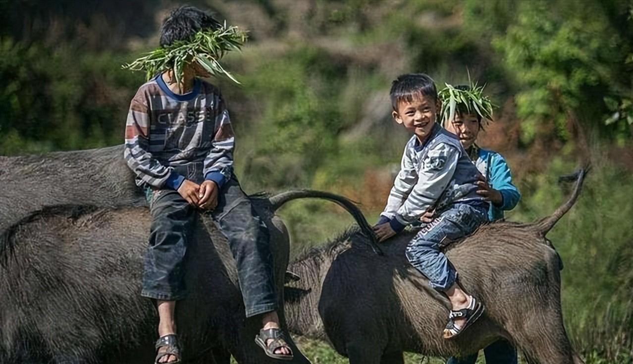 四十年前68张老照片,四十年前老照片大全