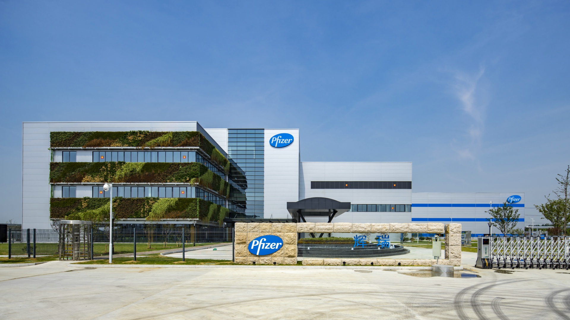 辉瑞新冠药最新消息,辉瑞研发新冠药花了多少钱