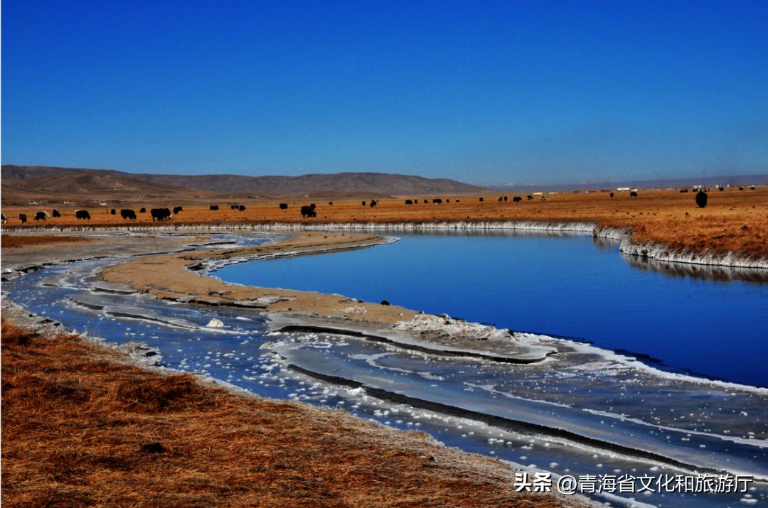 冬日青海的美，只有去过的人才知道