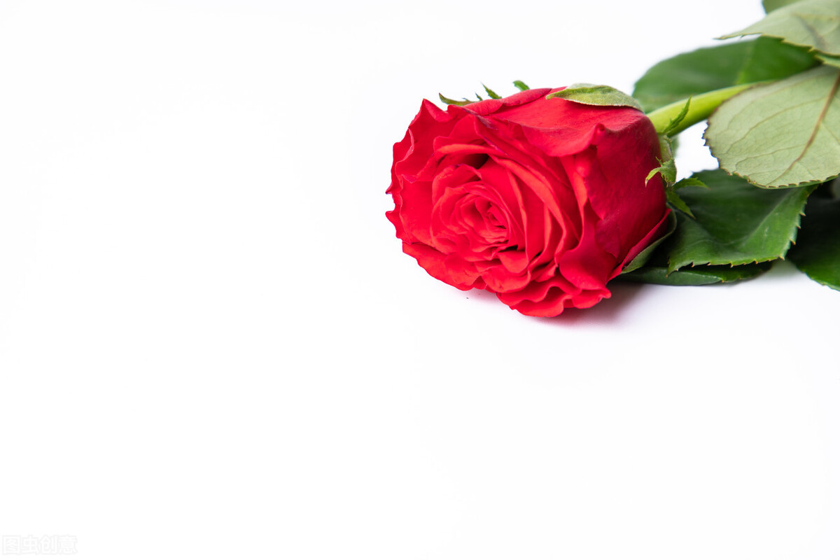 最浪漫的事情人节素材,情人节很浪漫的事