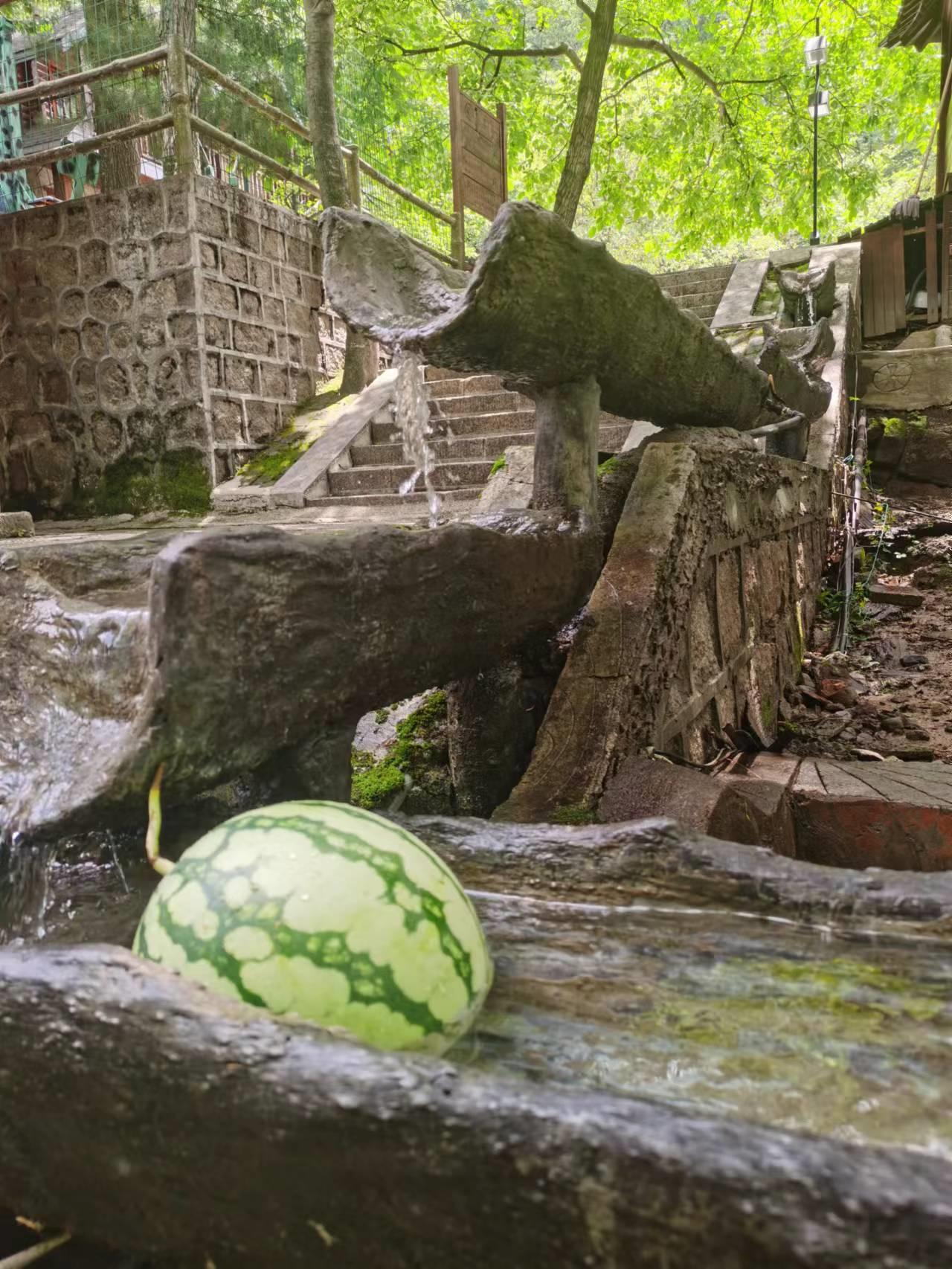 老界岭避暑92号山庄吃住全包,老界岭避暑胜地比较有名