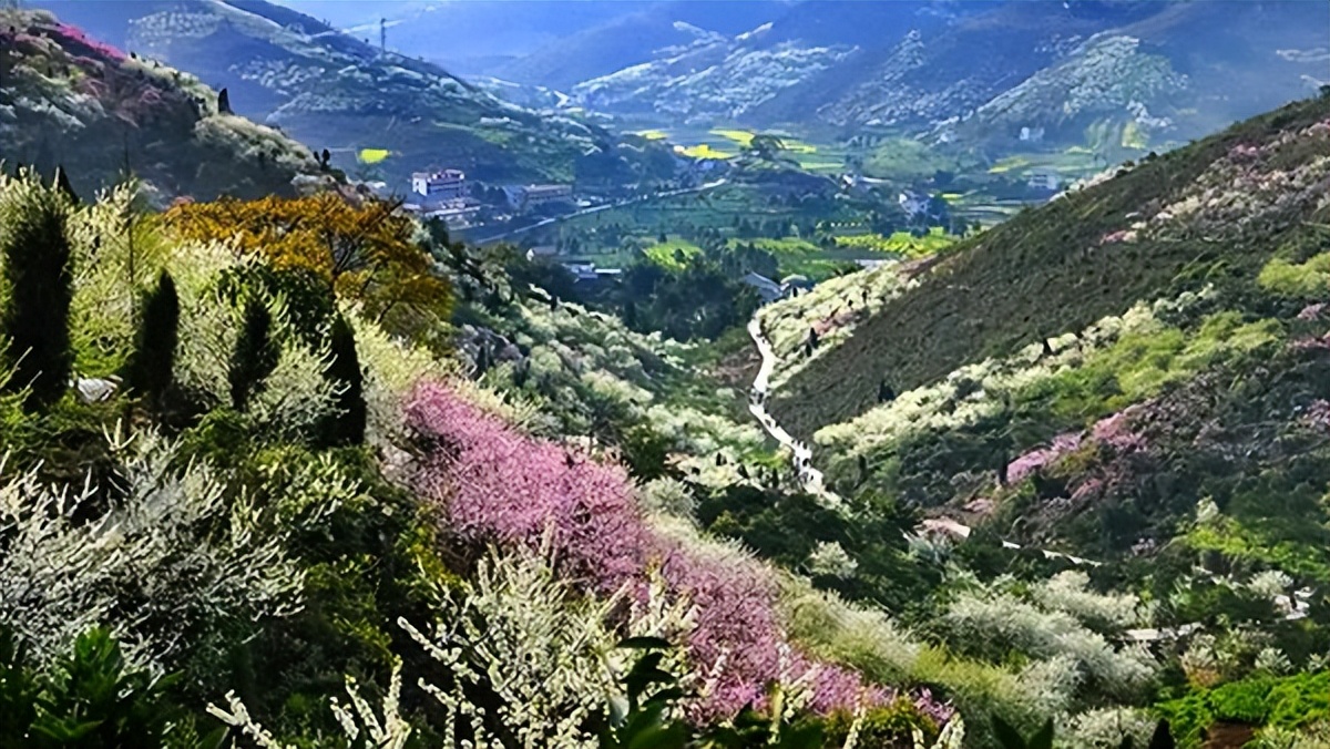 重庆合川十大旅游景区,合川旅游项目人气推荐