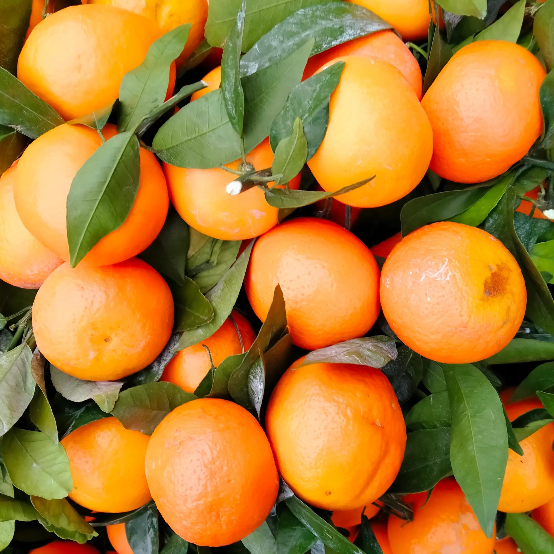 诗歌：穷则思变（作者段民生）