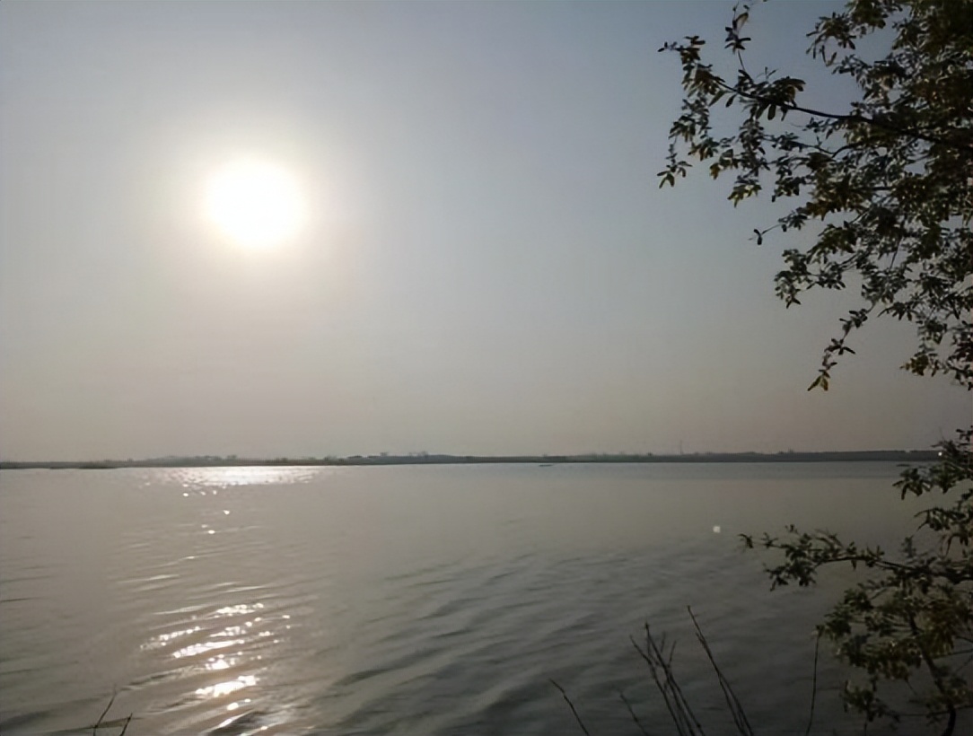 季国强,季国强的唯美诗句