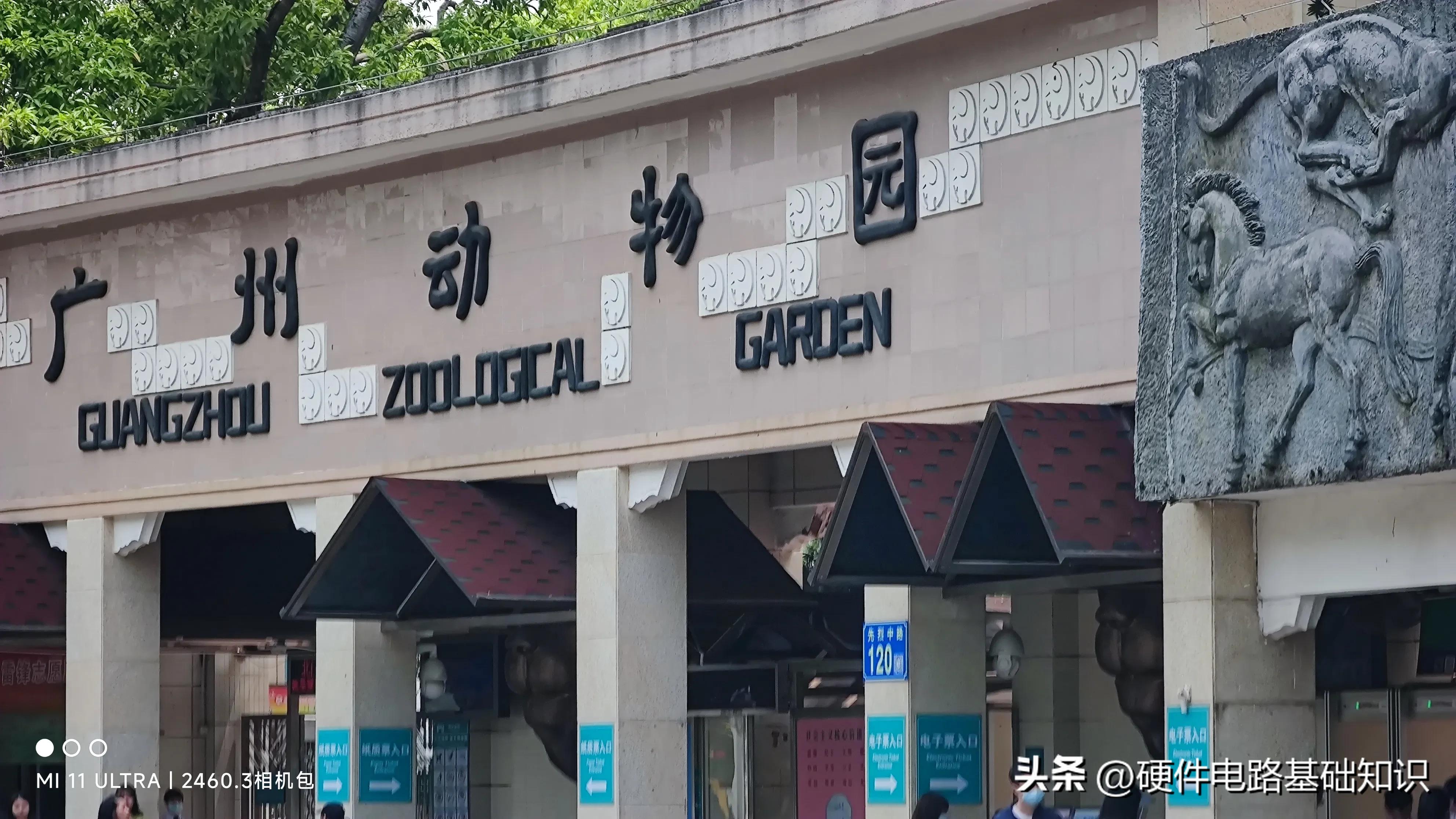 五一广州动物园人挤人的一天,广州动物园有序开放