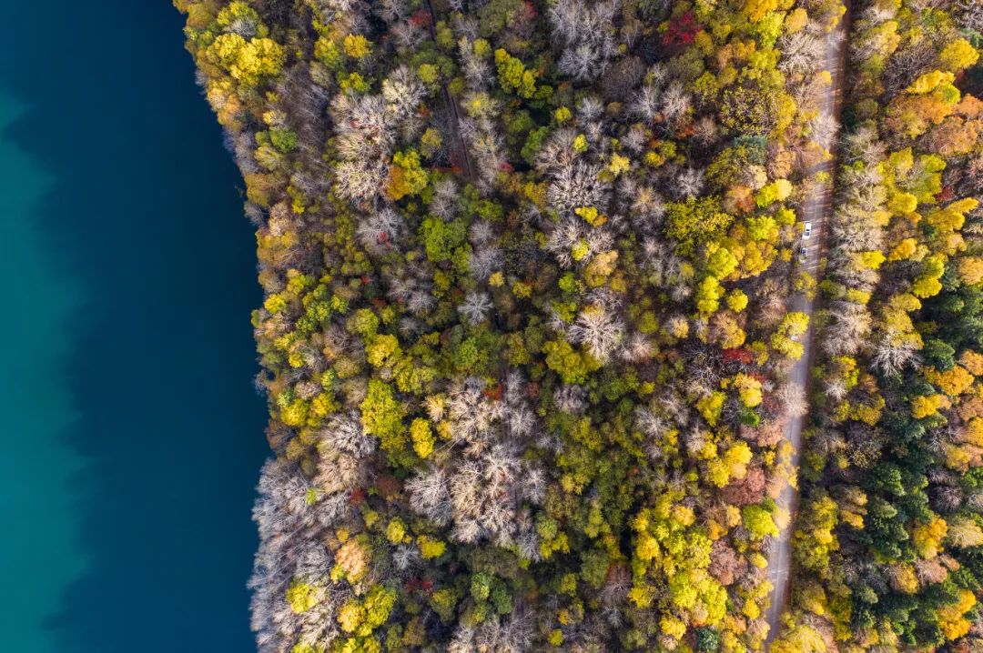 长白山的秋季,长白山夏天和秋天的区别