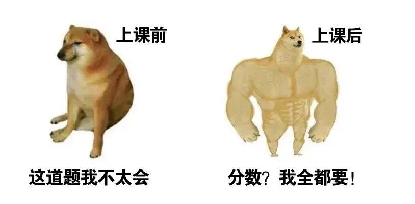 樱花日语教学怎么样,樱花日语学习费用