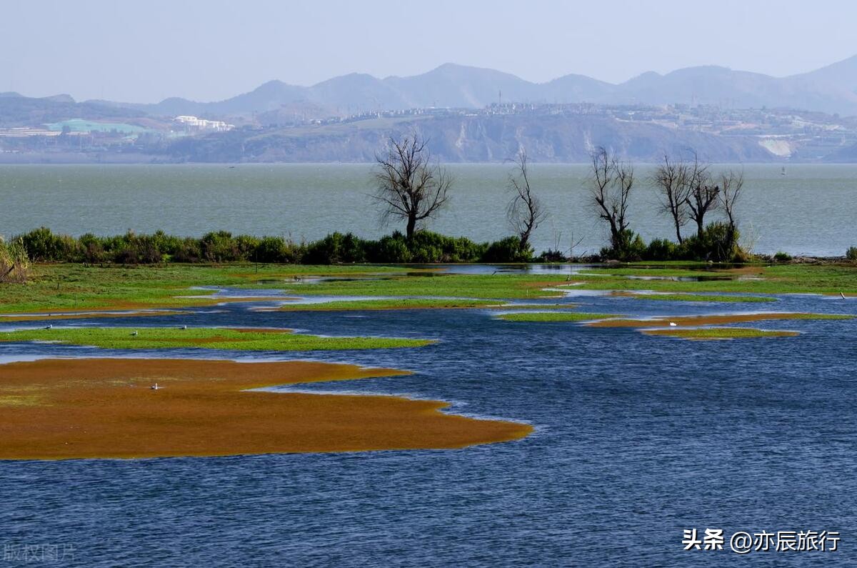 云南西双版纳旅游景点攻略自由行,云南丽江旅游攻略必去景点顺序