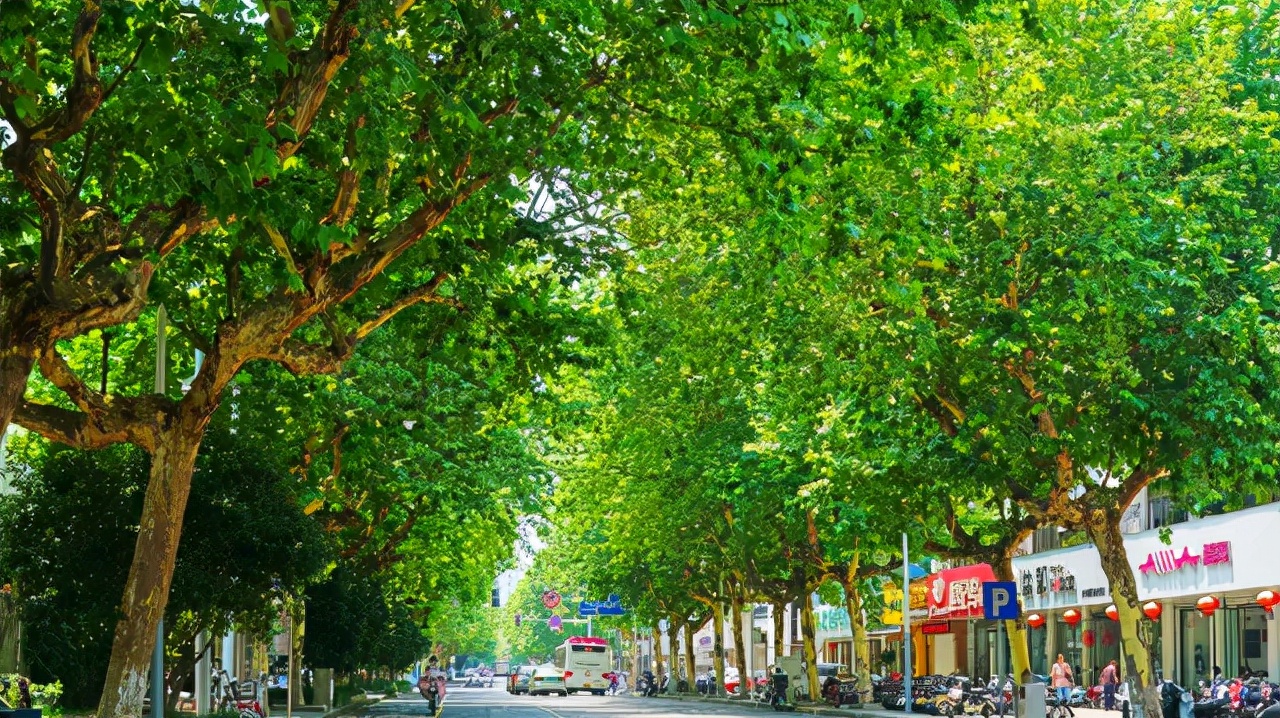 常州市牛牛,牛牛常州