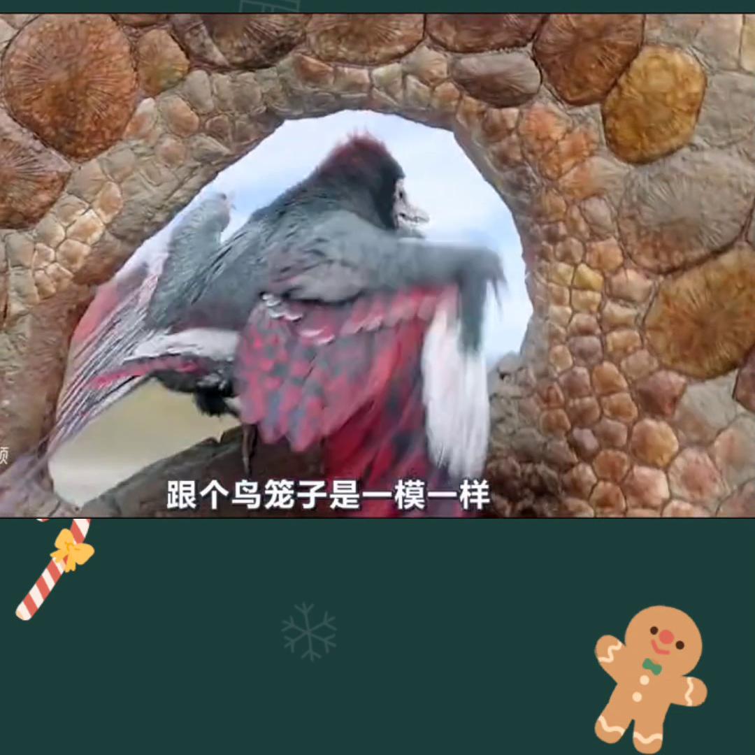 科普知识,科普知识大全短视频