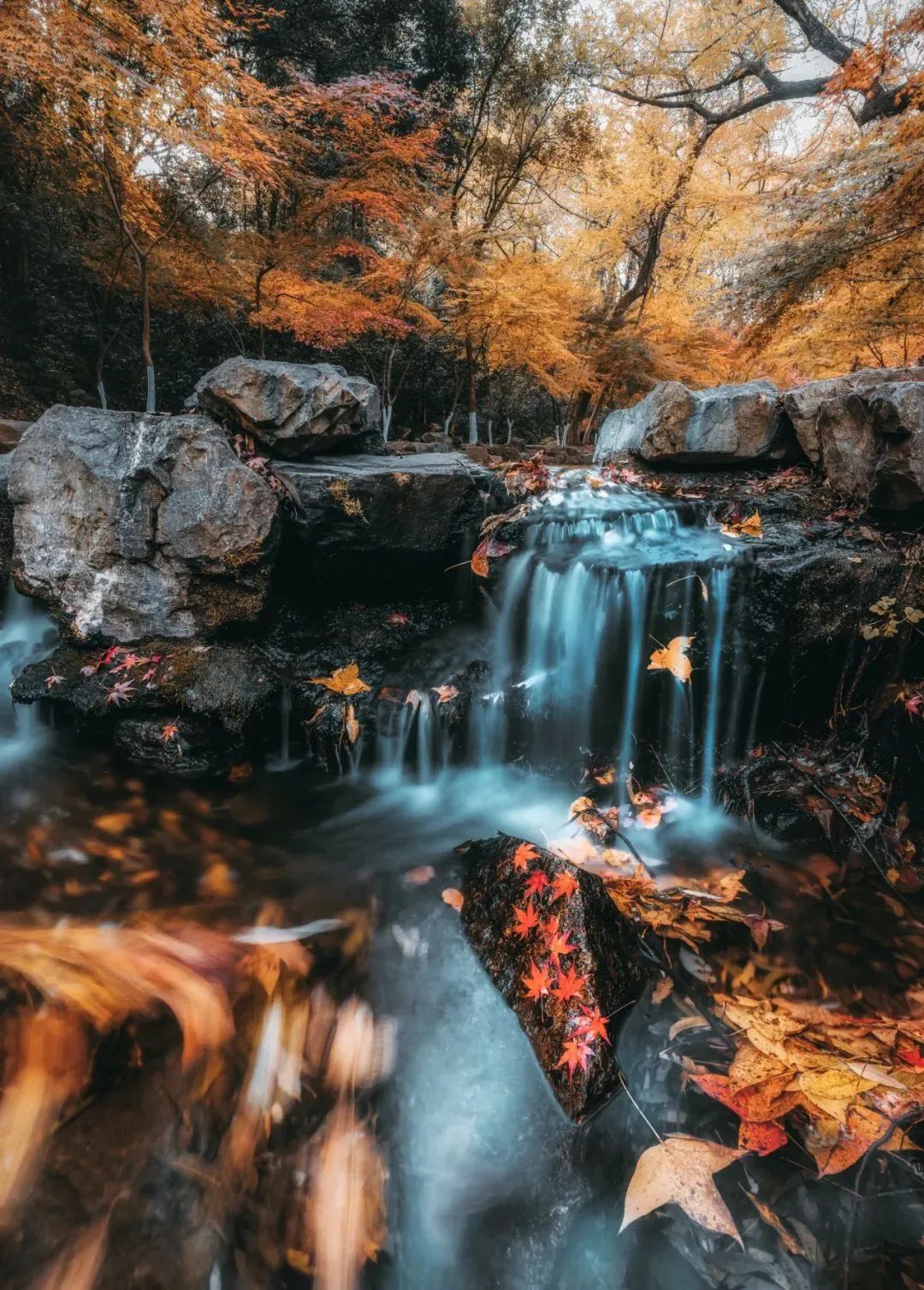这还是你认识的合肥吗,这还是你认识的蜜雪冰城吗