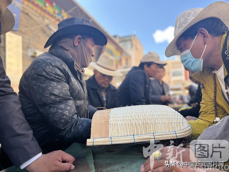 青海冬虫夏草2023价目表,青海冬虫夏草的价格表
