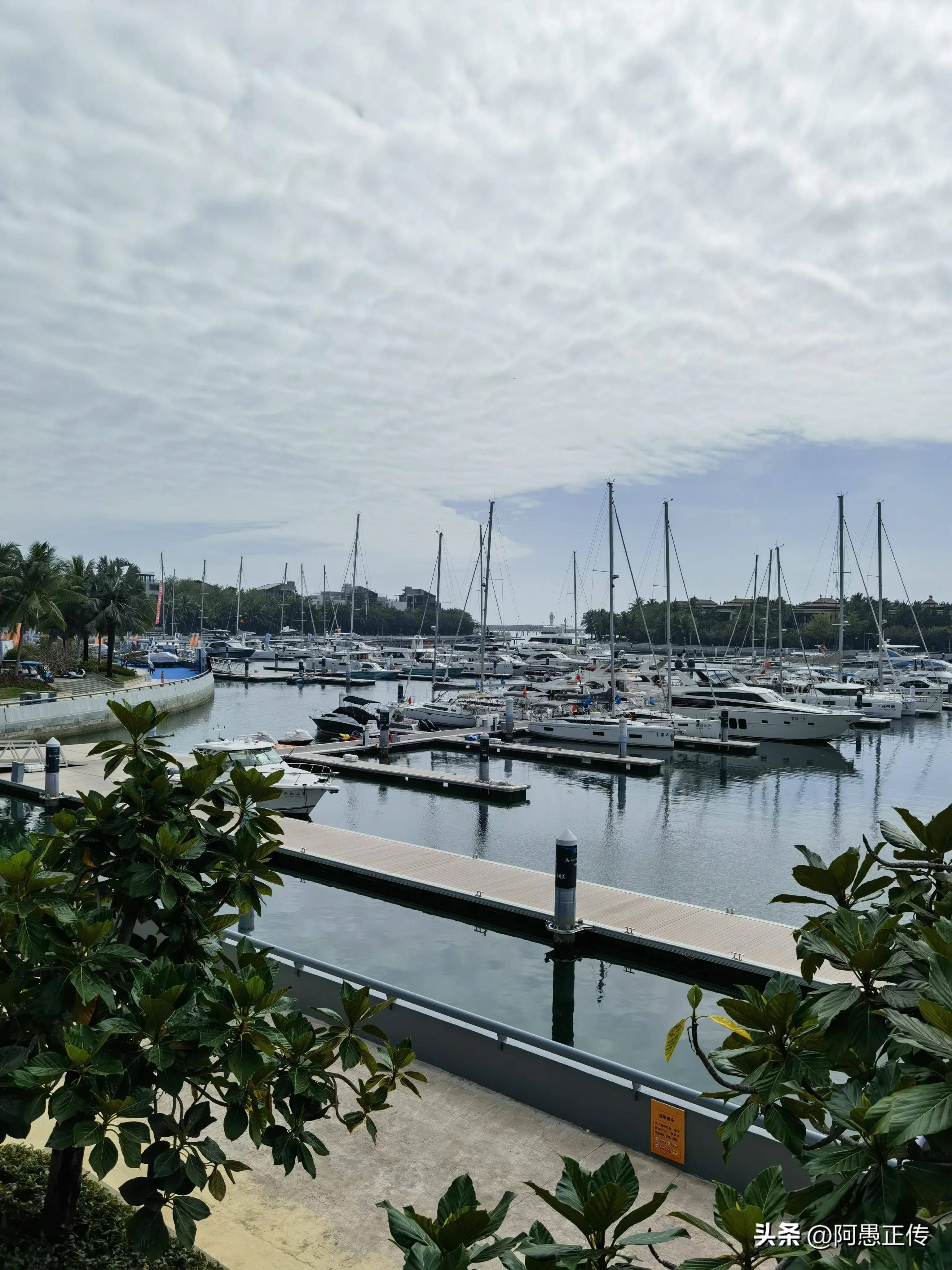 您赞同与子女一起生活吗