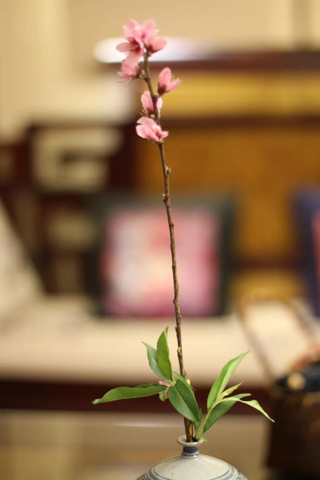 茶滋味品鉴,品鉴茶方法