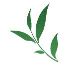 三抓三促见实效凝心聚力促发展,三抓三促行动与主题教育相结合