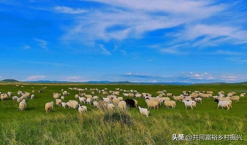 世界十大最顶尖的农产品强国,世界十大新型农业产品