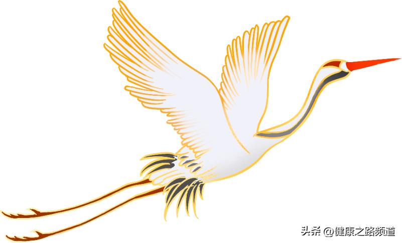 十人九脾虚了解脾虚对人体的作用,十个人九个脾虚吗