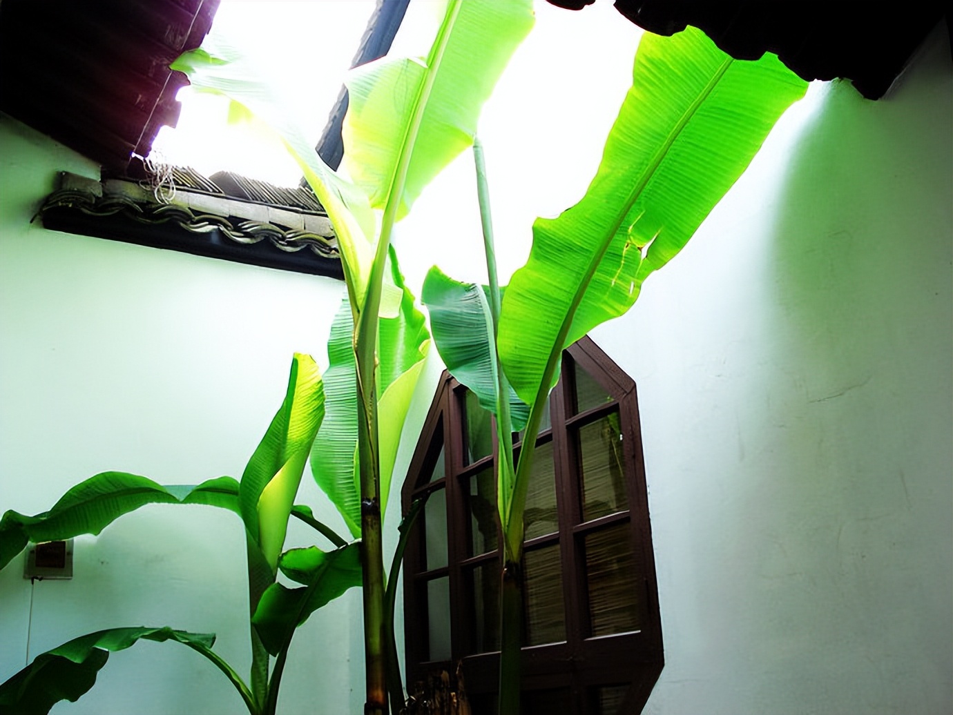 慢游放松体验,杭州慢时光游玩攻略