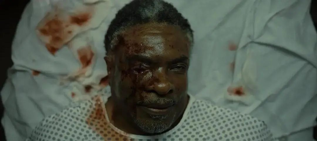 不要抬头看月亮知乎,不要抬头看月亮免费全文