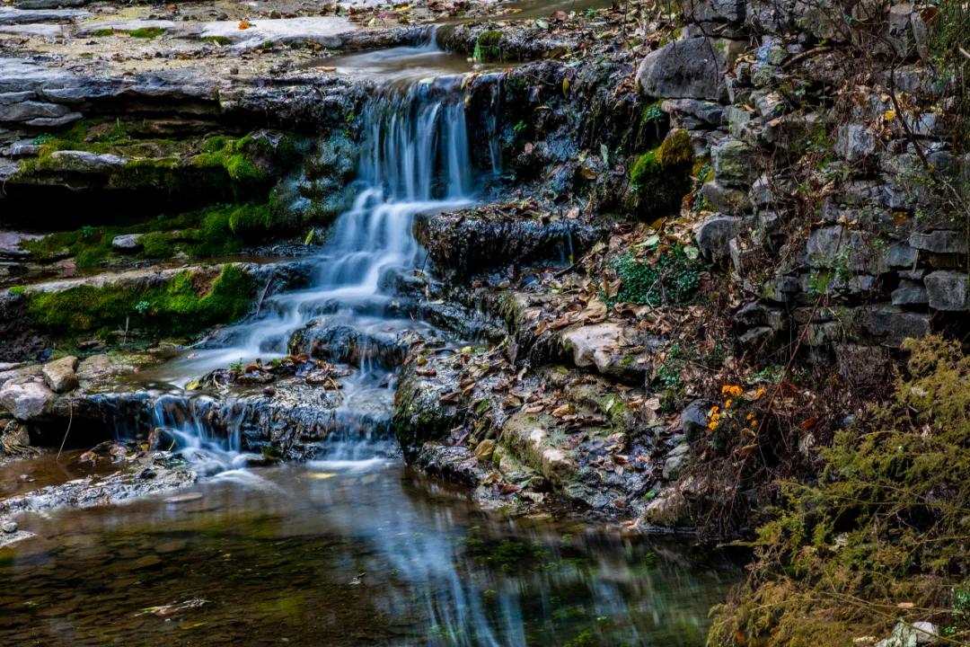 西安大唐不夜城网红风景,大唐不夜城网红景区