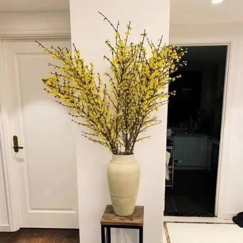 干枝遇水是什么原因,干枝遇水开花什么原理