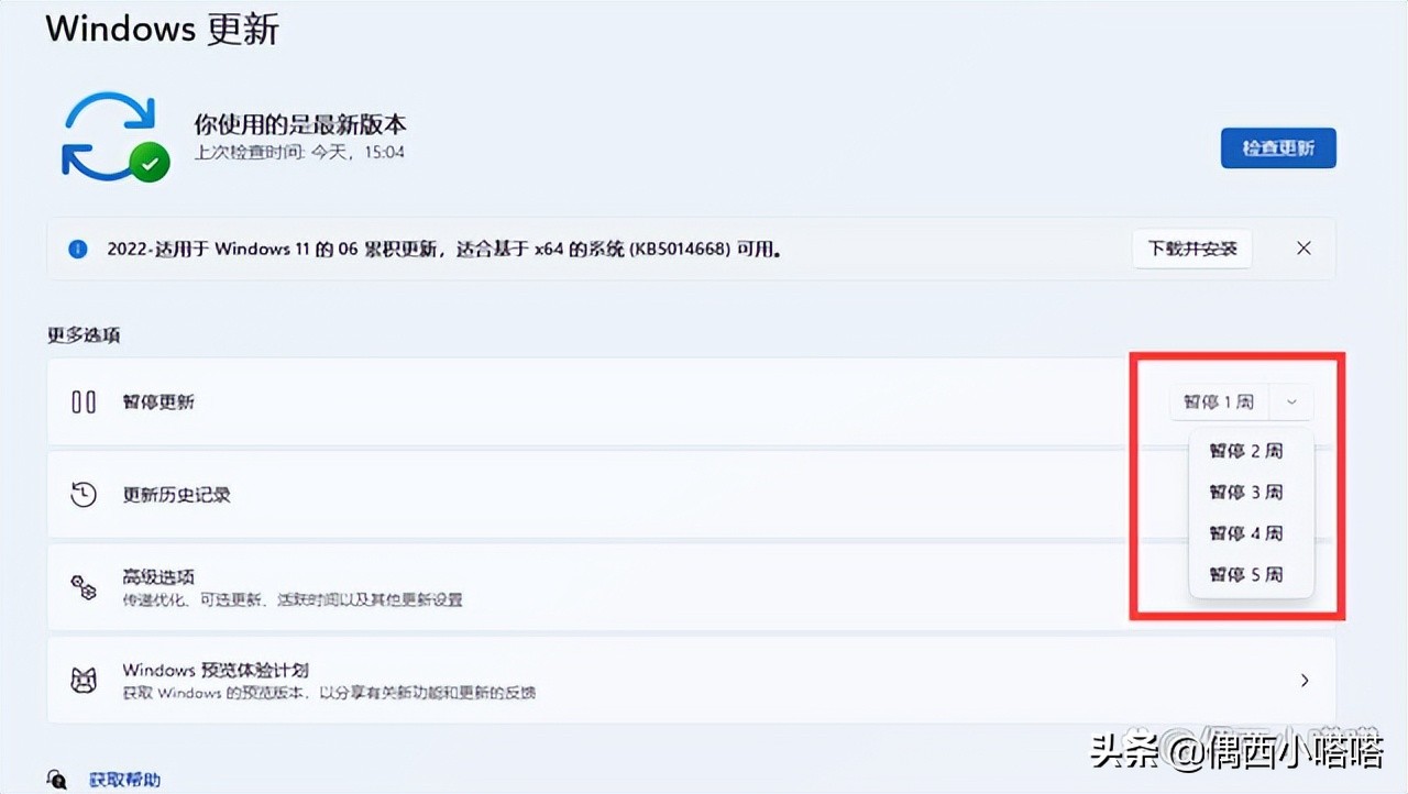 为什么windows更新不能禁用,为什么windows更新清理不了