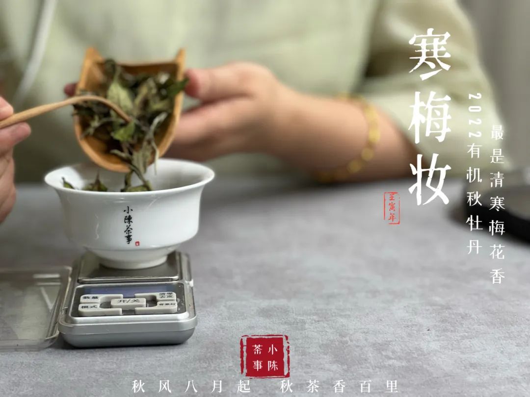 盖碗跟紫砂壶哪种适合泡白茶,白茶用紫砂壶还是盖碗