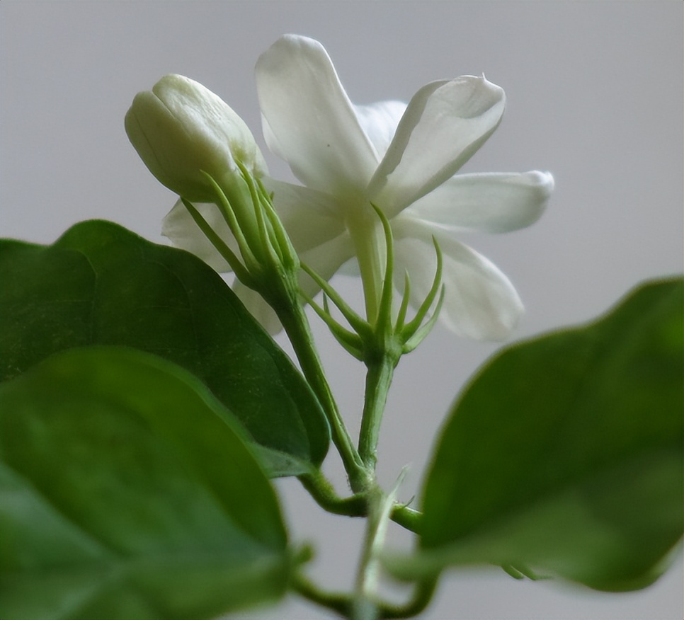 一个女人“借”了这些东西,彼此“缘分”也就尽了,早就实锤了