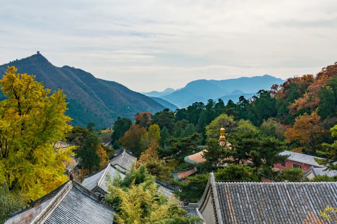 北京被冲走的顶奢酒店,暴雨最贵酒店