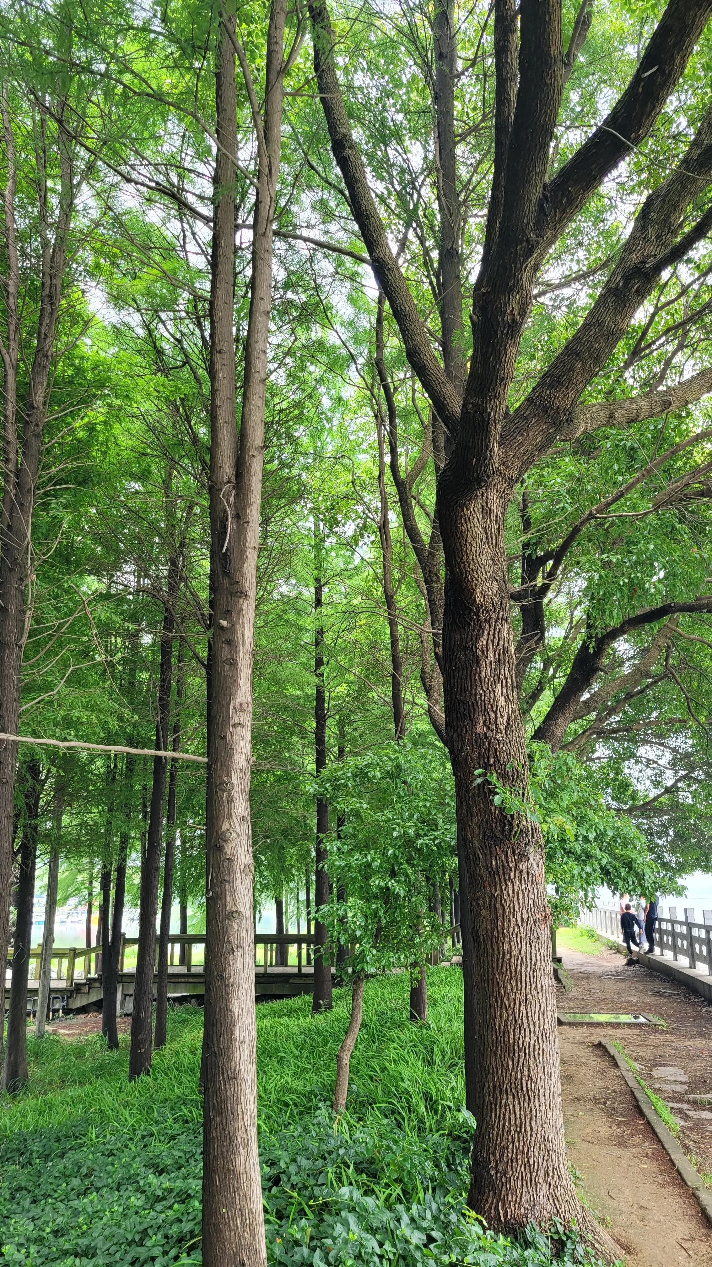 无锡太湖十八湾起点,无锡太湖十八湾在哪