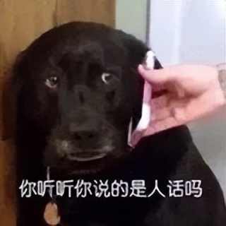 高三女生百日誓师因表情管理不当,高三女生因百日誓师表情遭网暴