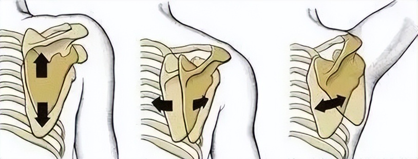 肩膀总是咔咔响？你的肩关节弹响，可能是这些原因