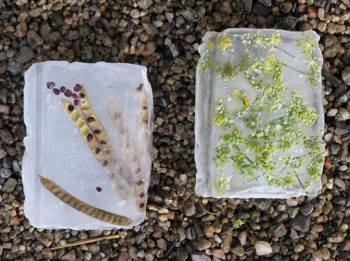 后疫情时代如何通过设计创新,后疫情时代需要哪些设计