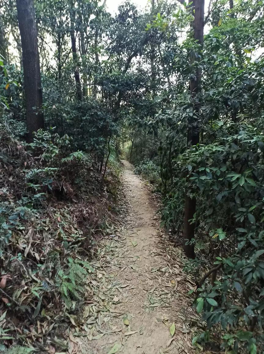 白云山适合徒步吗,一路徒步上白云山