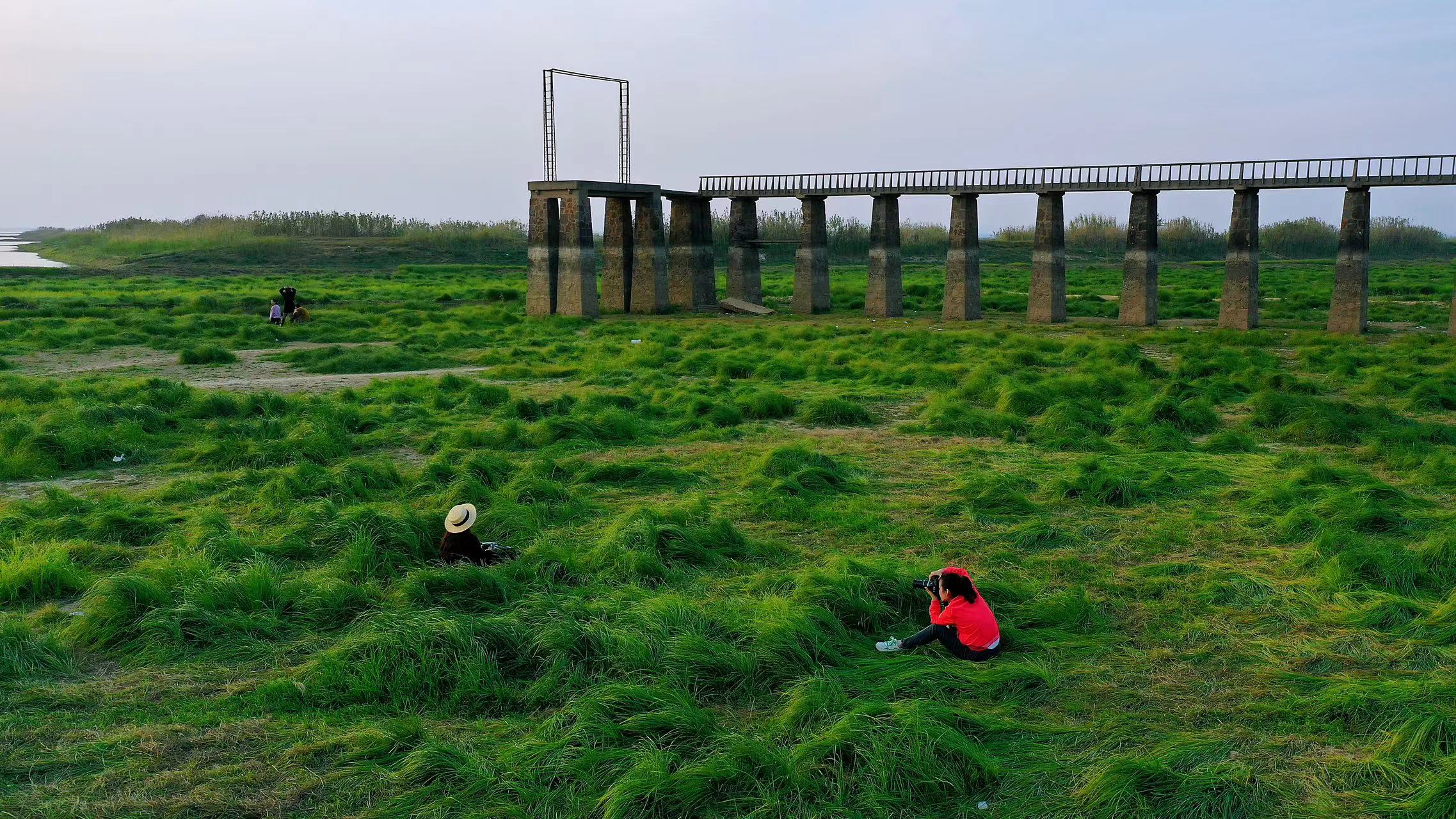 江苏规划一座大桥全长37公里,江苏在建一条大桥