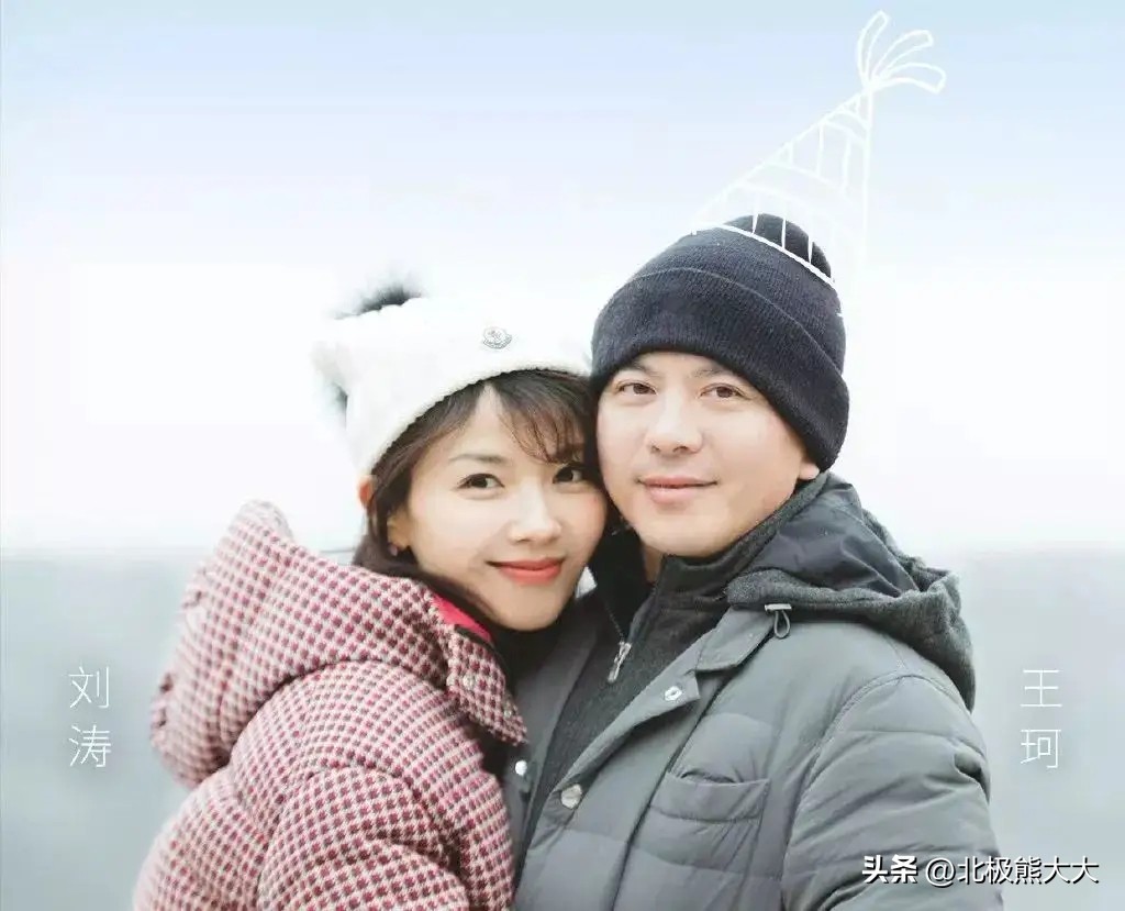 从贤妻到女强人刘涛都经历了什么,贤妻刘涛真实身份