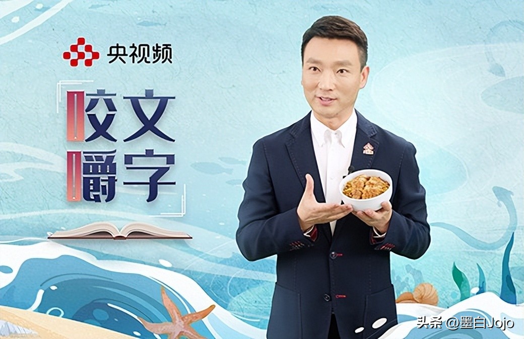 康辉咬文嚼字,康辉新书咬文嚼字