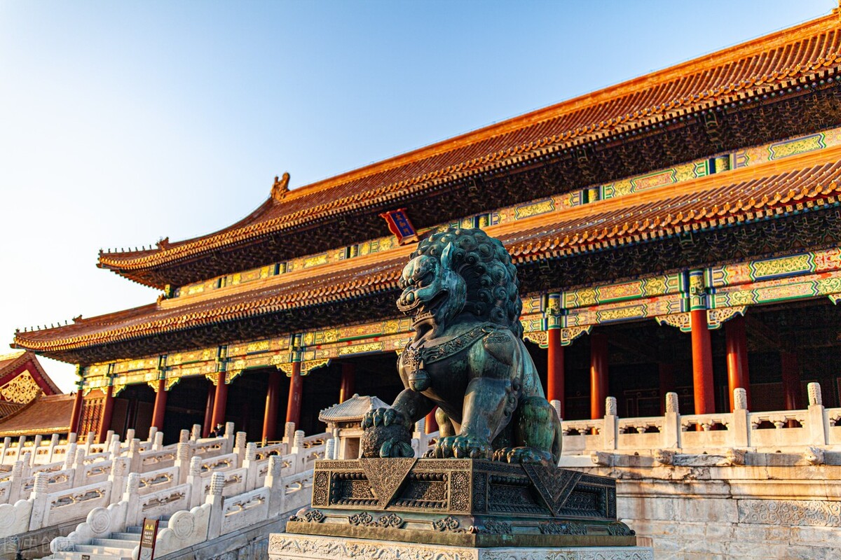 贵州发现50米高的千年金丝楠木,贵州有一棵金丝楠木价值十亿