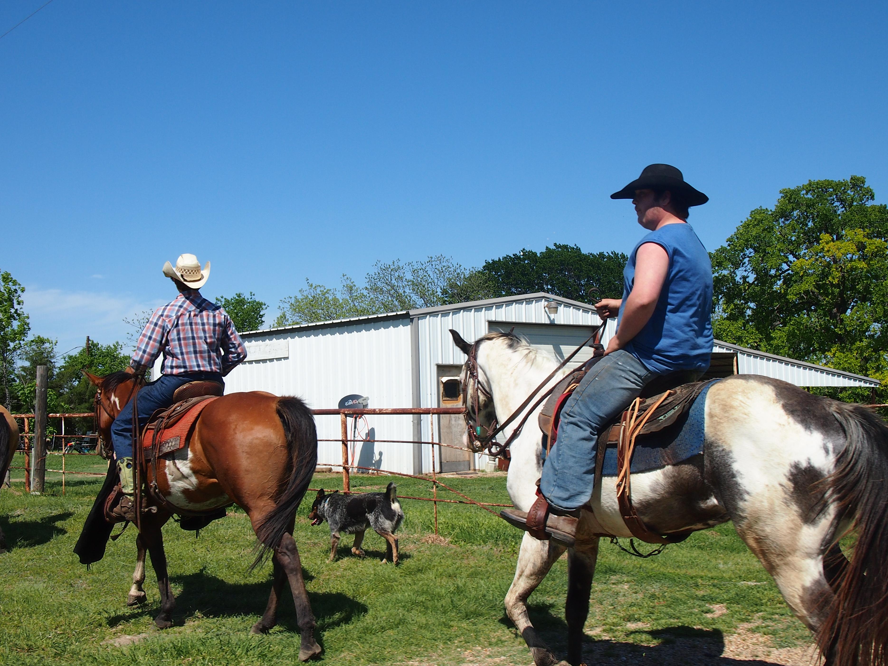 国外公共交通对比,中美公共交通服务对比